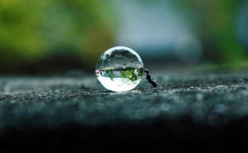 Triệu Tư nghinh đón bọn cường đạo